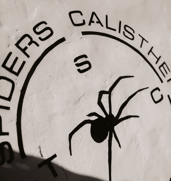 Clase grupal de calistenia