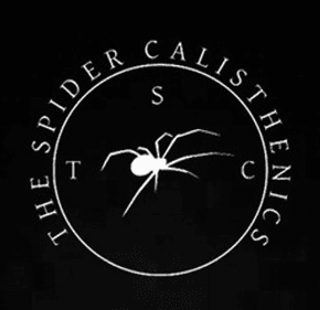The SpiderCalisthenics Logo